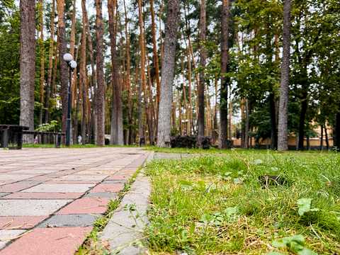 квартира по адресу Покровская ул., 17