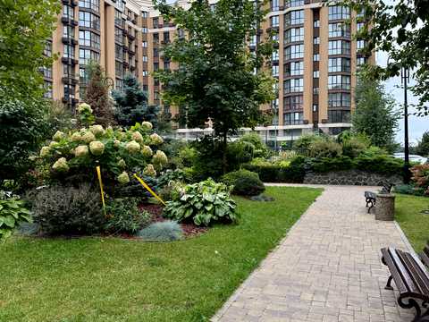 квартира за адресою Миру вул., 6