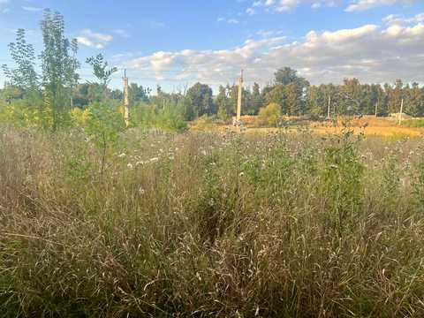 ділянка за адресою с. Зарванці, 