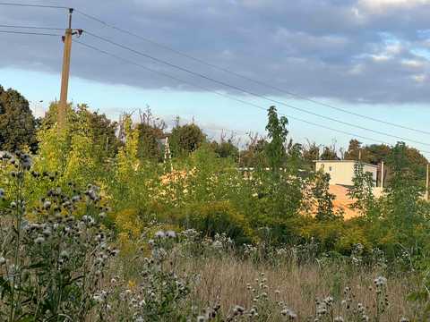 ділянка за адресою с. Зарванці, 