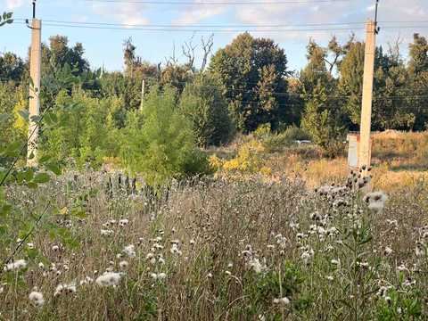 ділянка за адресою с. Зарванці, 