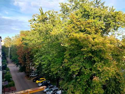 квартира за адресою Захисників України вул. (Одинцова), 6