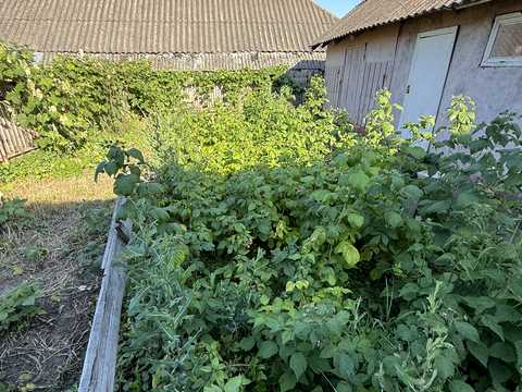 дом по адресу Немирів