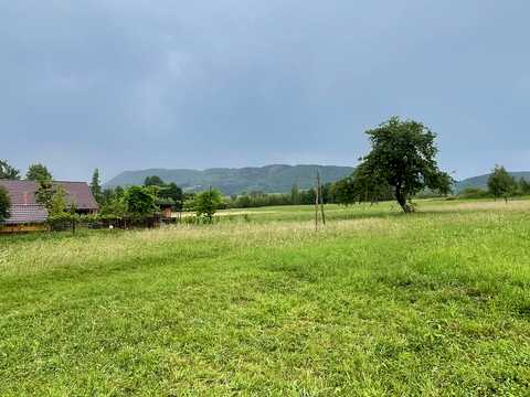 дом по адресу Карпатська, 245