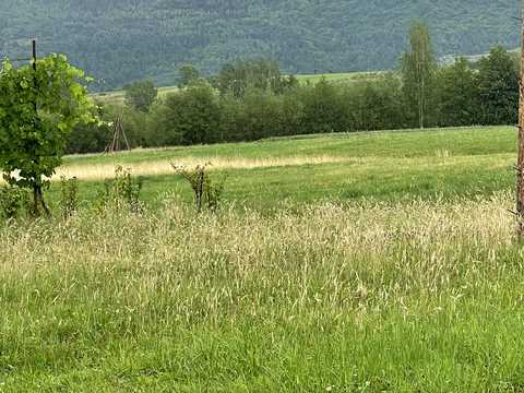 дом по адресу Карпатська, 245