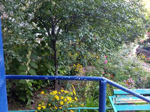 квартира по адресу Архитекторов ул., 32