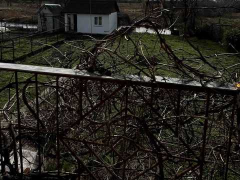 дом по адресу Голосеевский пер.