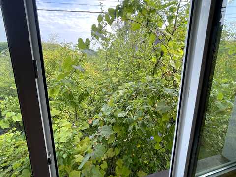 дом по адресу Дем'янів Лаз ул.