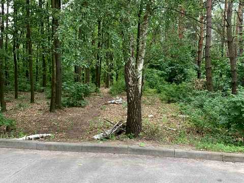квартира за адресою Паркова вул., 12