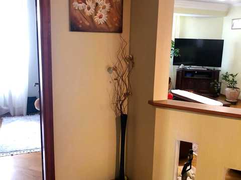 квартира по адресу Кургузова ул., 56