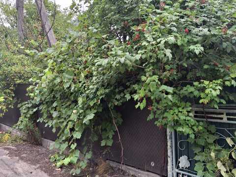 будинок за адресою прокопчука, 45