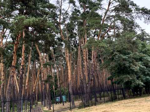 квартира за адресою Жмеринська вул., 16