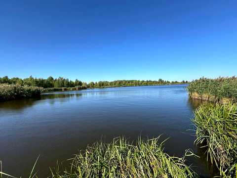 ділянка за адресою Подільська, 6