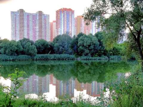 квартира по адресу Сім'ї Кульженків ул. (Петра Дегтяренка), 33