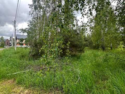 ділянка за адресою смт. Ворзель, Ворзельський провулок, 21