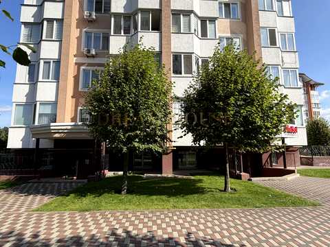 комерційна за адресою Бориса Гмирі вул., 10-А