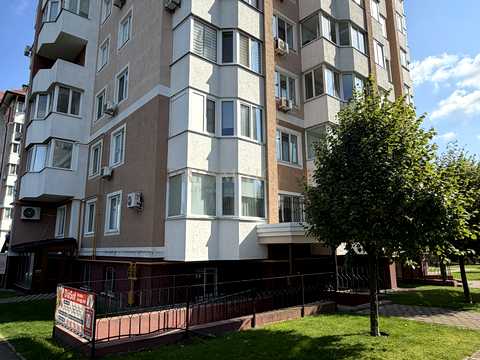 комерційна за адресою Бориса Гмирі вул., 10-А