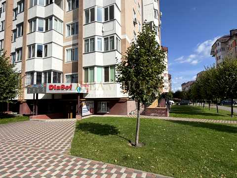 комерційна за адресою Бориса Гмирі вул., 10-А