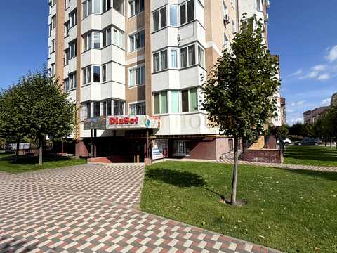 комерційна за адресою Бориса Гмирі вул., 10-А