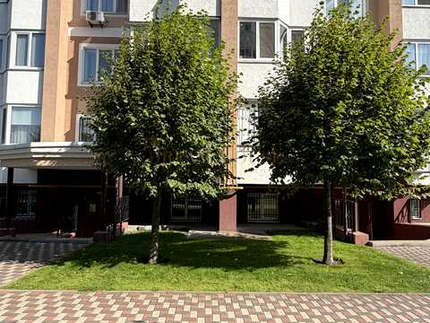 комерційна за адресою Бориса Гмирі вул., 10-А