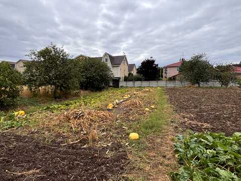будинок за адресою Центральна вул., 6
