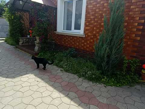 дом по адресу Засумская ул.