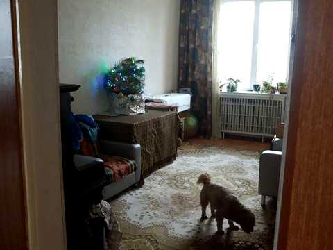 квартира за адресою Михайла Бойчука вул. (Кіквідзе), 2/34