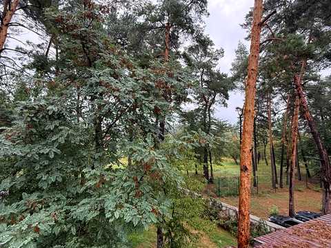 будинок за адресою Лісовий пров.