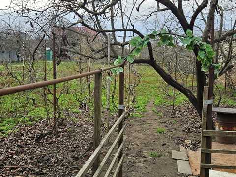 будинок за адресою Патріотична вул., 68