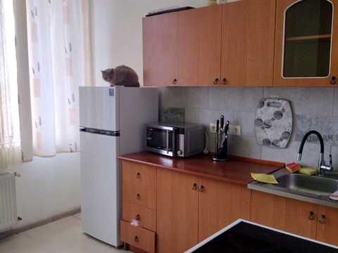 квартира за адресою Марсельська вул., 46/2