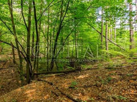 дом по адресу Садовая ул.