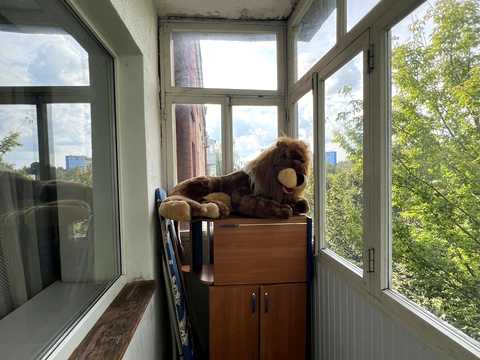 квартира по адресу Келецкая ул., 50/49