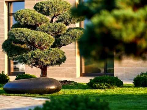 квартира за адресою Паркова вул., 19
