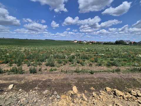ділянка за адресою с. Смиківці, Єдності вул.