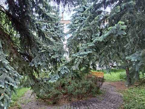 квартира по адресу Ивана Мазепы ул. (Січневого Повстання), 8