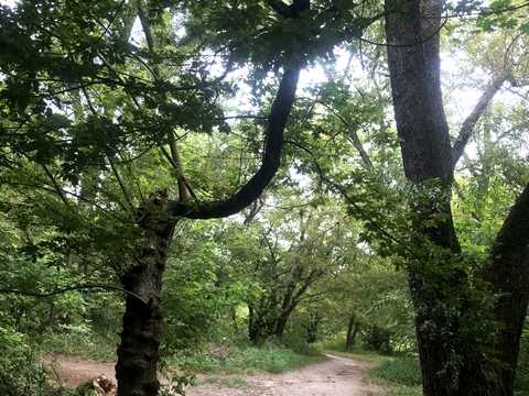 квартира по адресу Русановский бульв., 11