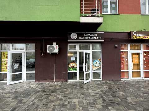 комерційна за адресою Олени Теліги вул., 63