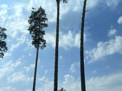 будинок за адресою Ірпінь, Василя Стуса вул. (Пушкінська)