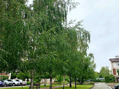будинок за адресою Берегова вул., 11