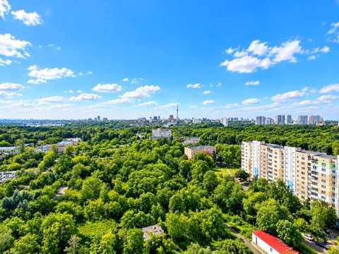 квартира за адресою Тираспольська вул., 52