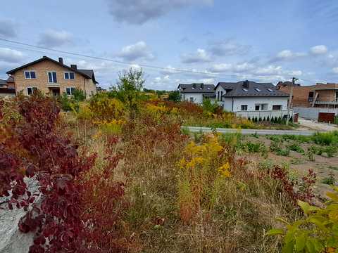 ділянка за адресою с. Біла, Польова