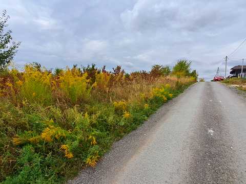 ділянка за адресою с. Біла, Польова