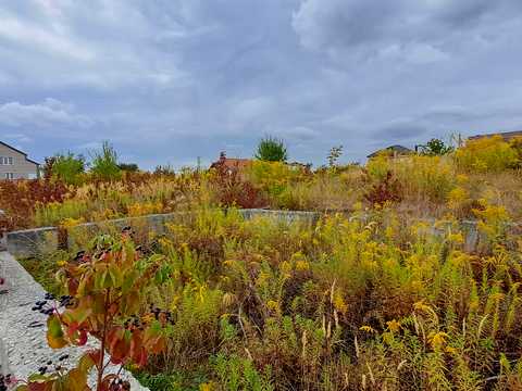 ділянка за адресою с. Біла, Польова
