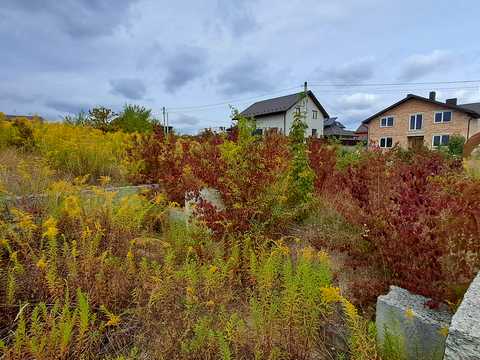 ділянка за адресою с. Біла, Польова