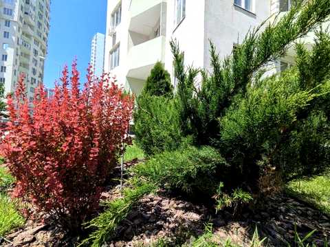 квартира за адресою Люстдорфська дорога вул. (Черноморская дорога), 55м
