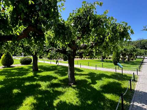 квартира за адресою Люстдорфська дорога вул. (Черноморская дорога), 55м