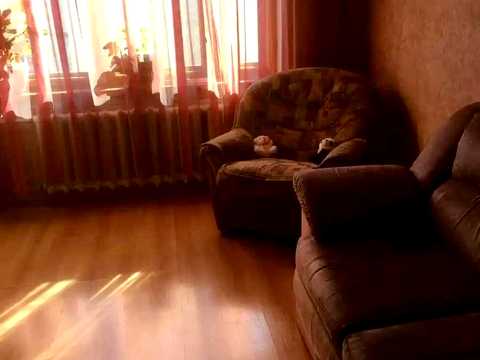 квартира за адресою Донецьке шосе, 7