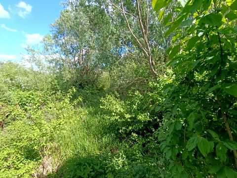 ділянка за адресою Степанкова вул.