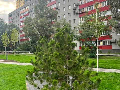 квартира за адресою Галини Мазепи вул. (Софії Ковалевської), 71