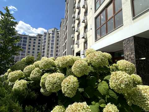 квартира за адресою Черкаси, Сумгаїтська вул., (Будинок)